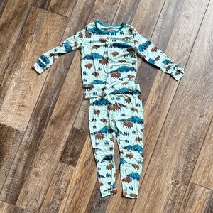 Children's Teal Buffalo Print Pajama Set - Long Sleeve Top & Pants